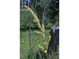 1000 Halfway Lake Road. Princeton, British Columbia