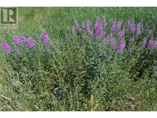 1000 Halfway Lake Road. Princeton, British Columbia