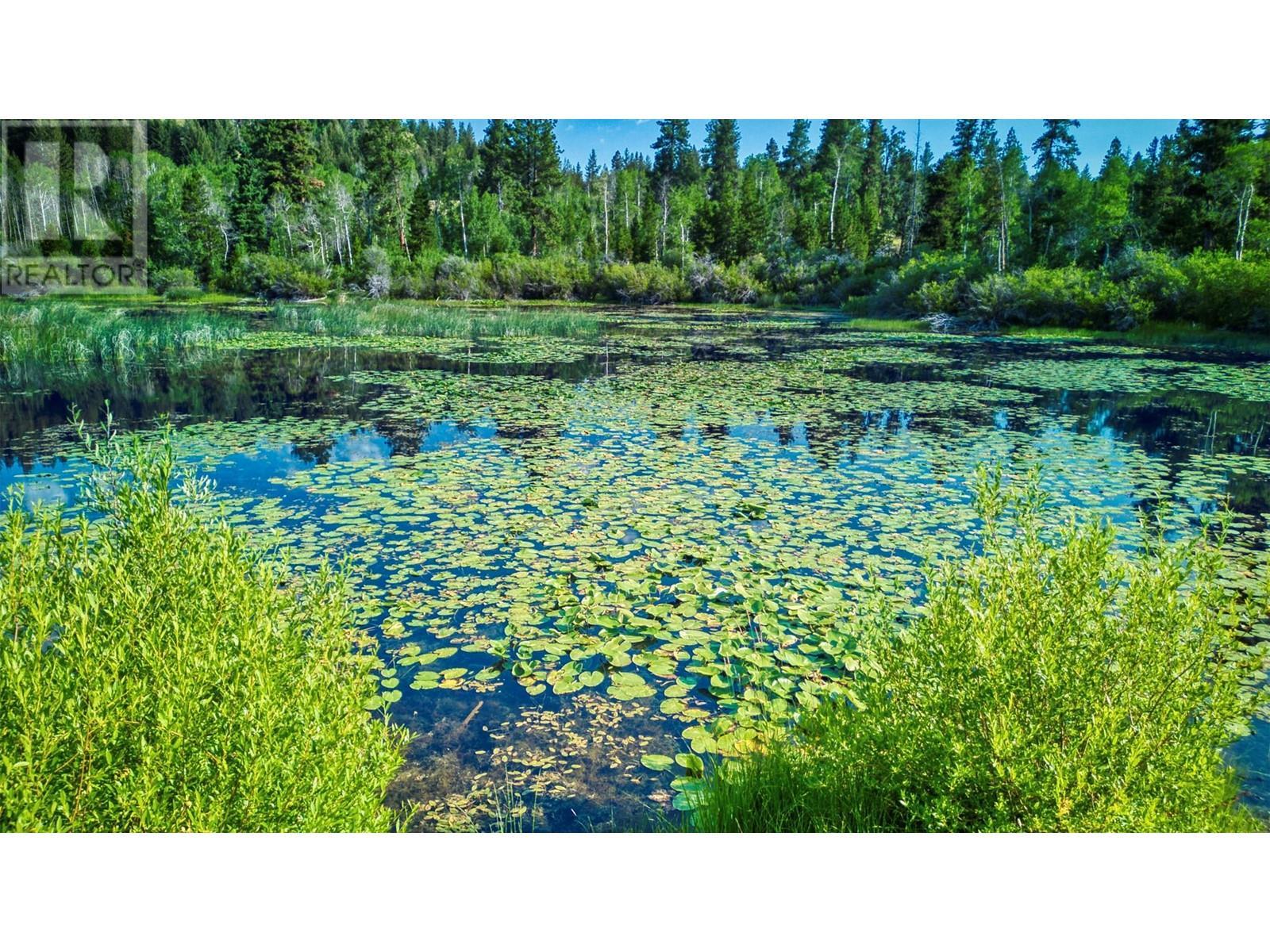 1000 Halfway Lake Road. Princeton, British Columbia