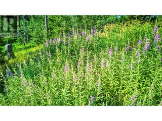 1000 Halfway Lake Road. Princeton, British Columbia