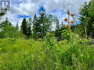 1000 Halfway Lake Road. Princeton, British Columbia