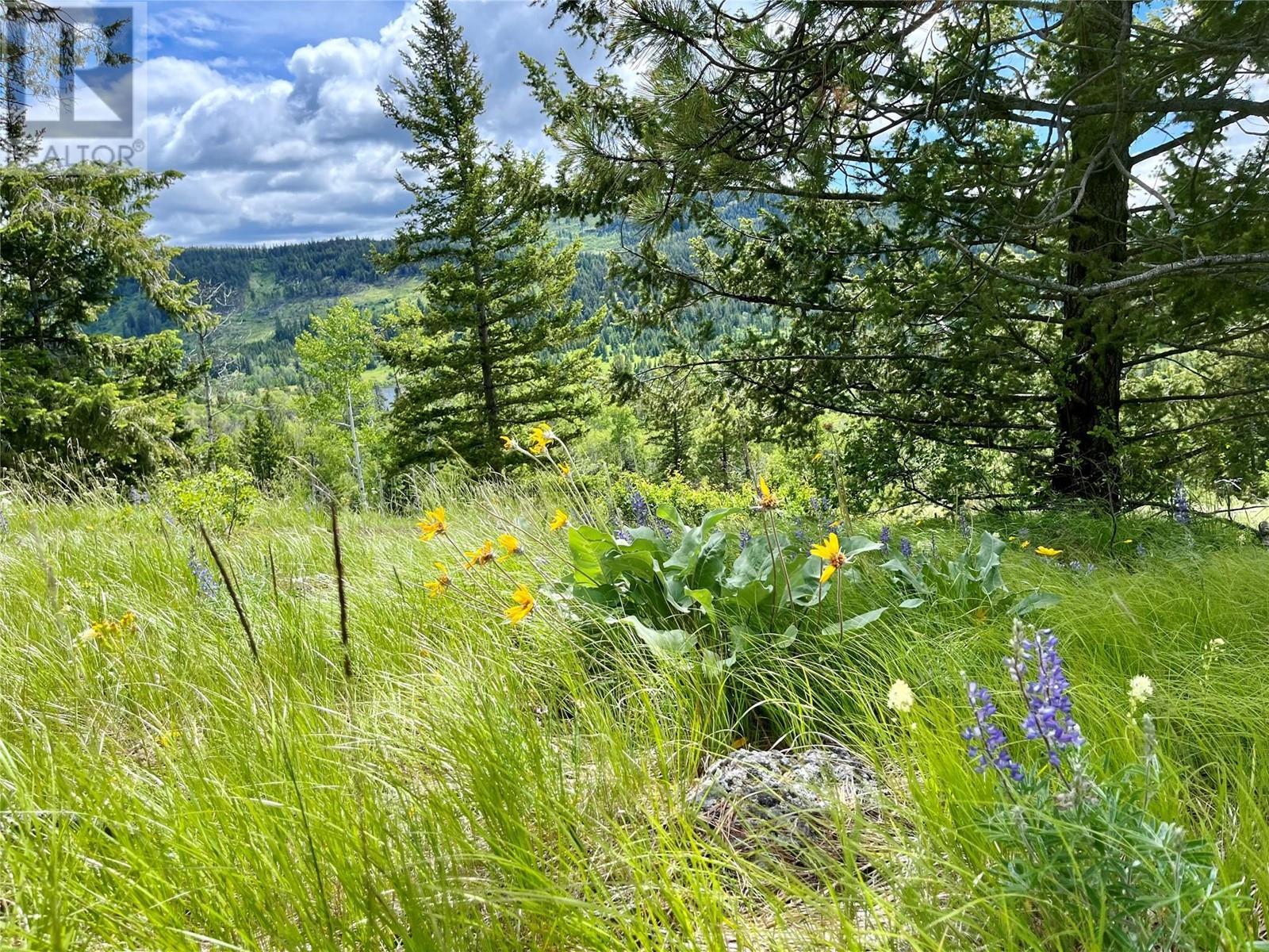 1000 Halfway Lake Road. Princeton, British Columbia