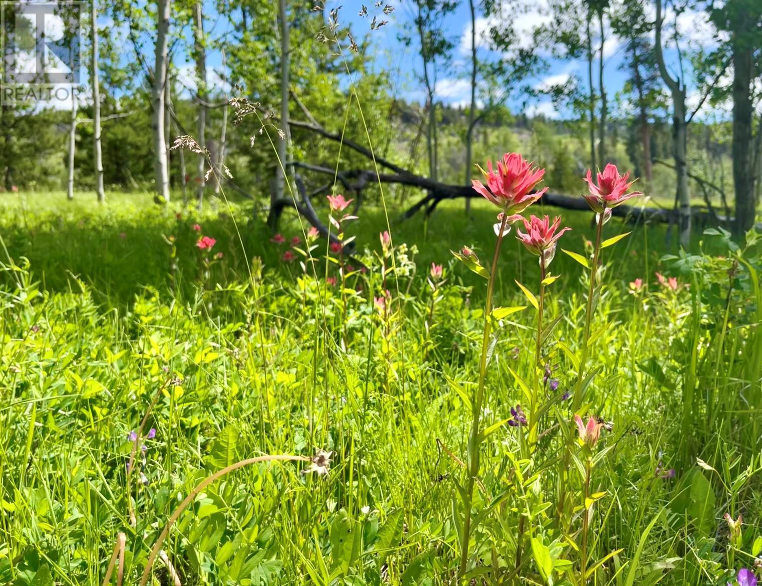 1000 Halfway Lake Road. Princeton, British Columbia