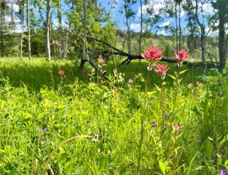 1000 Halfway Lake Road. Princeton, British Columbia