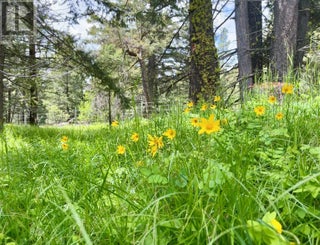 1000 Halfway Lake Road. Princeton, British Columbia