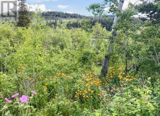 1000 Halfway Lake Road. Princeton, British Columbia