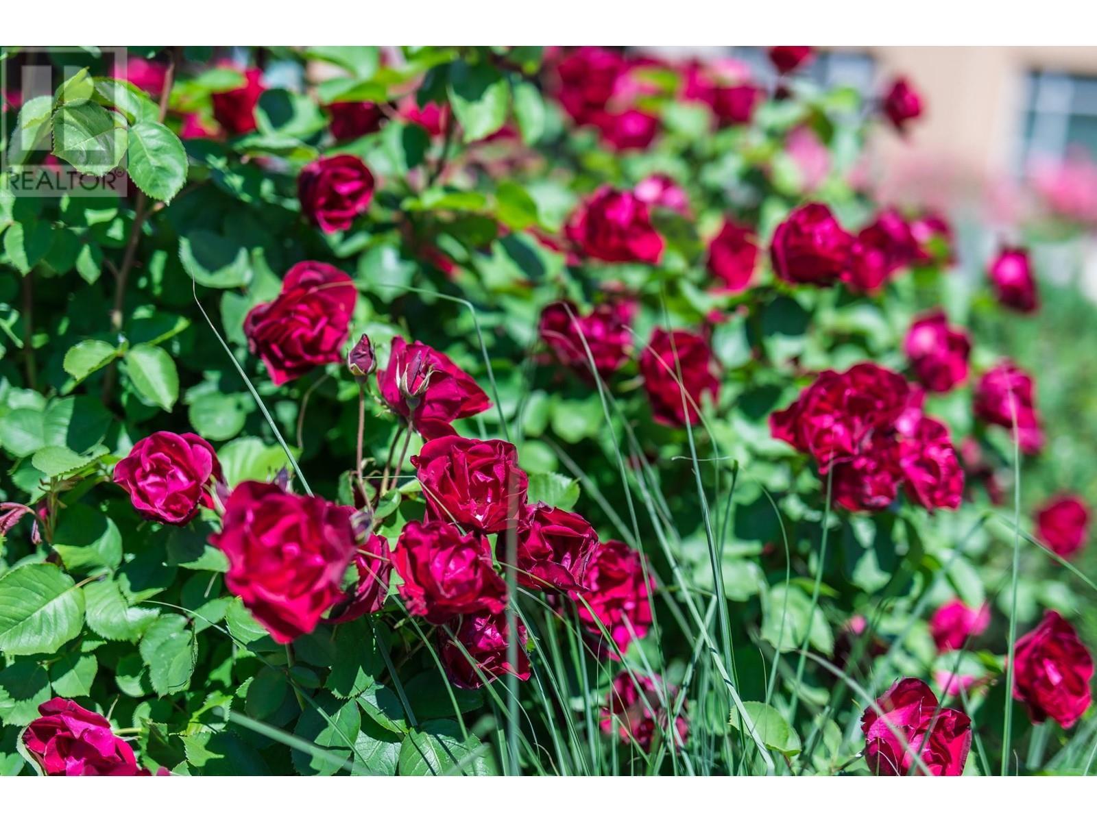 15 Park Place Unit# 304. Osoyoos, British Columbia