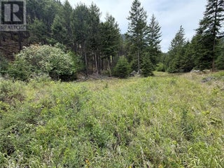 938s Hwy 3 Unit# Dl. Princeton, British Columbia