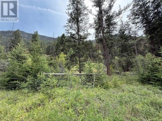 938s Hwy 3 Unit# Dl. Princeton, British Columbia