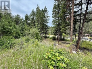 938s Hwy 3 Unit# Dl. Princeton, British Columbia