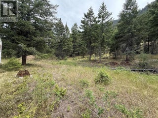 938s Hwy 3 Unit# Dl. Princeton, British Columbia