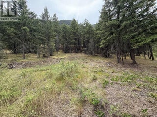 938s Hwy 3 Unit# Dl. Princeton, British Columbia