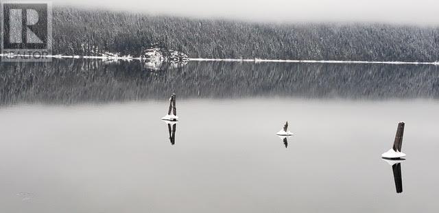 3602 Mabel Lake Road Unit# 5. Lumby, British Columbia