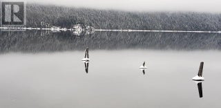 3602 Mabel Lake Road Unit# 5. Lumby, British Columbia