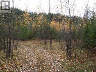 144 Acres South Fork Road. Cherryville, British Columbia