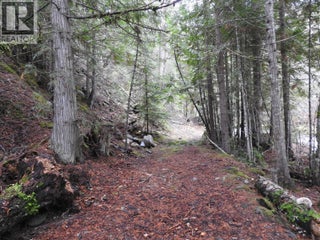 144 Acres South Fork Road. Cherryville, British Columbia