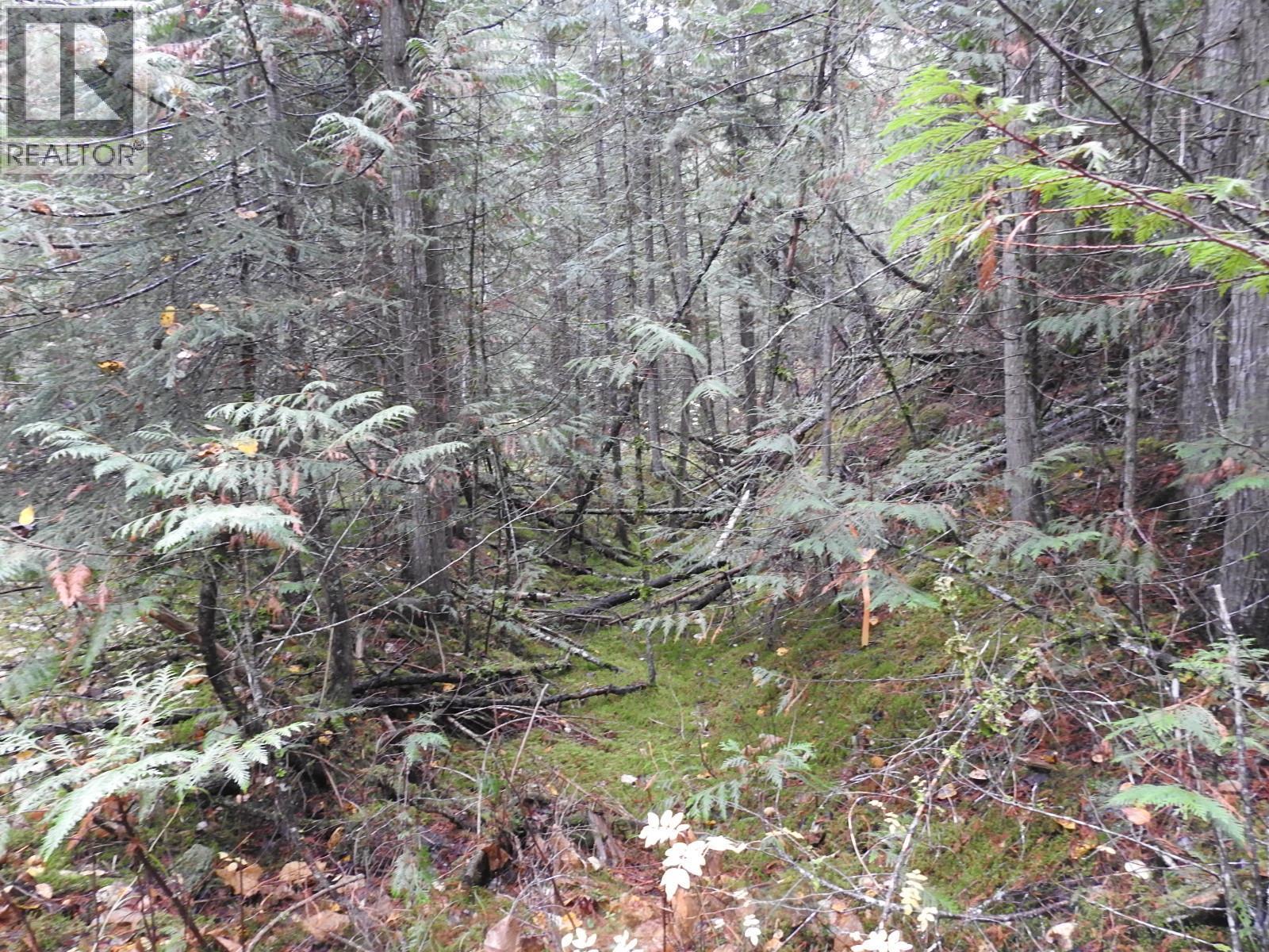 144 Acres South Fork Road. Cherryville, British Columbia