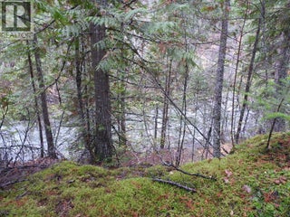 144 Acres South Fork Road. Cherryville, British Columbia