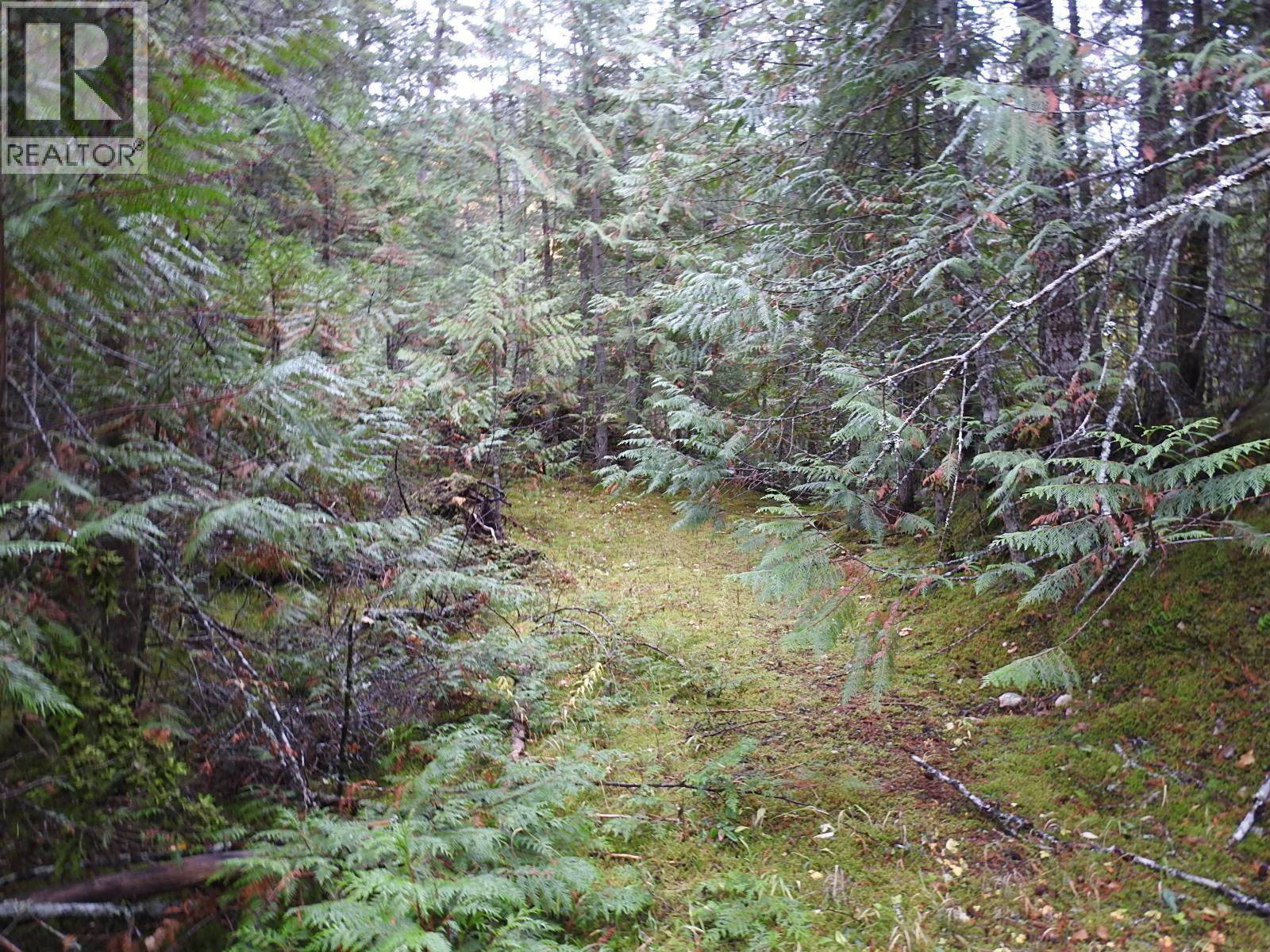 144 Acres South Fork Road. Cherryville, British Columbia