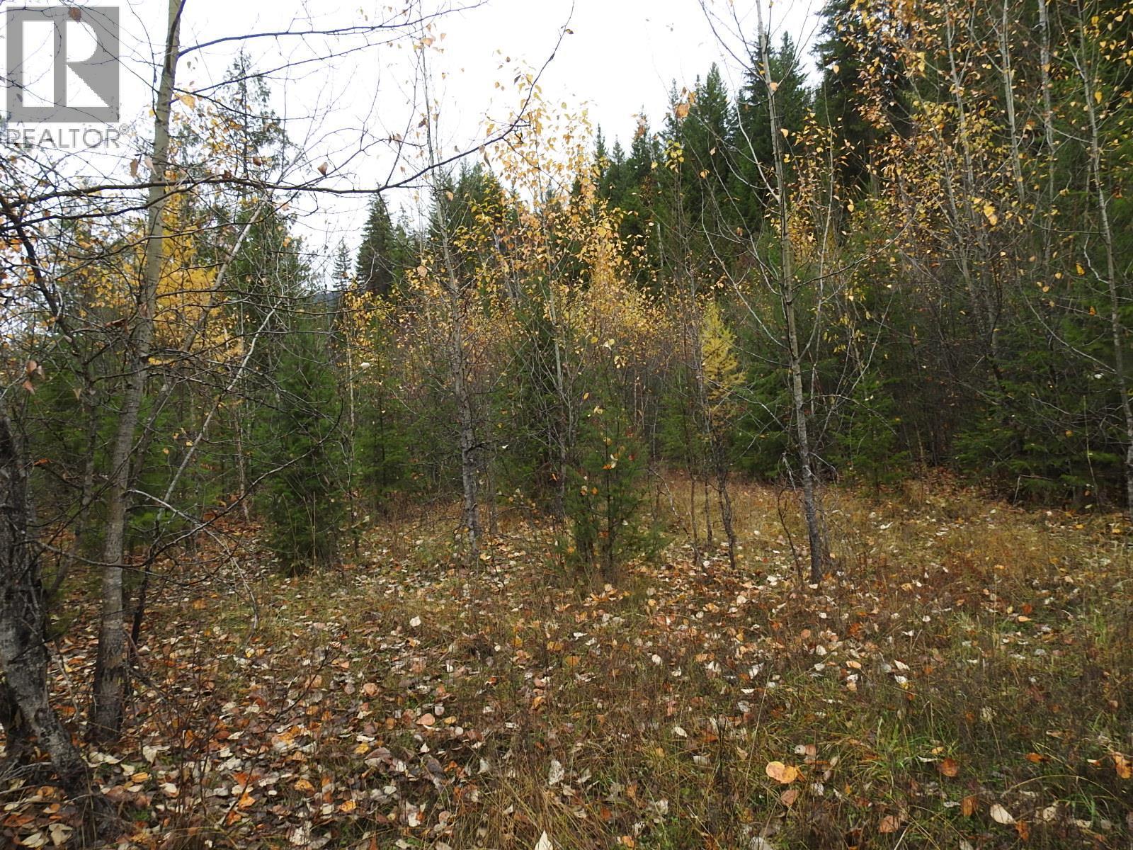 144 Acres South Fork Road. Cherryville, British Columbia