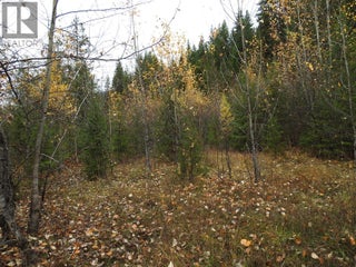 144 Acres South Fork Road. Cherryville, British Columbia