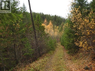 144 Acres South Fork Road. Cherryville, British Columbia