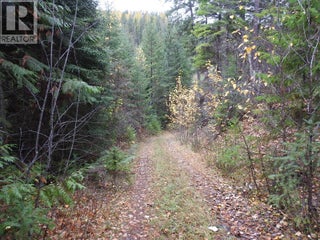144 Acres South Fork Road. Cherryville, British Columbia