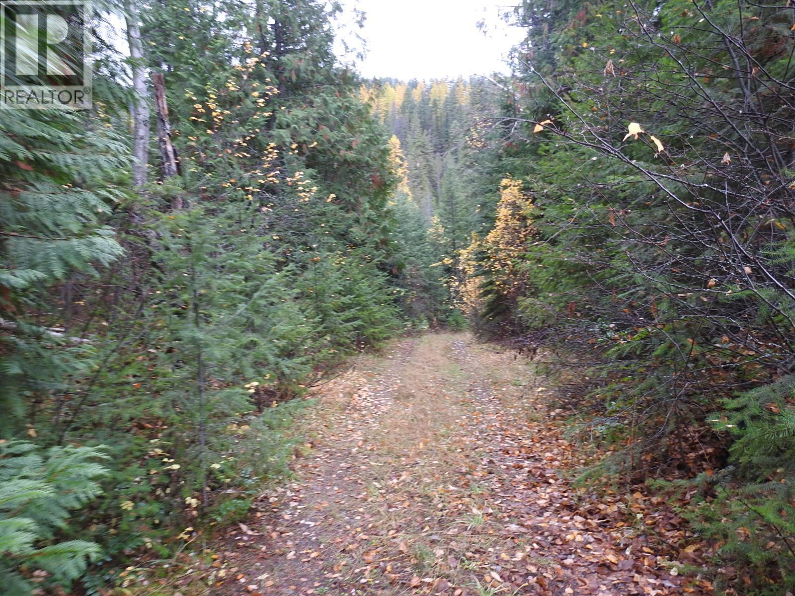 144 Acres South Fork Road. Cherryville, British Columbia