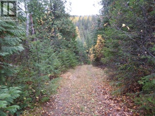 144 Acres South Fork Road. Cherryville, British Columbia