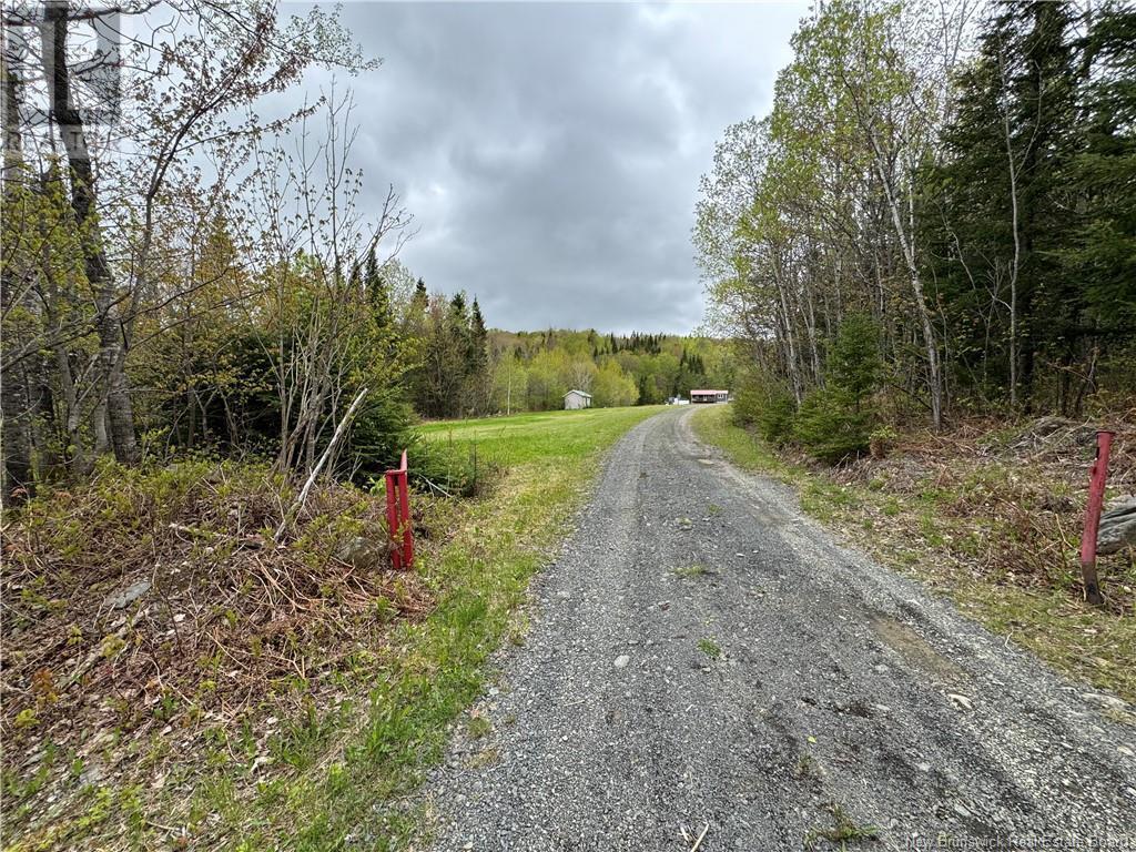 Photo of Listing #NB119398