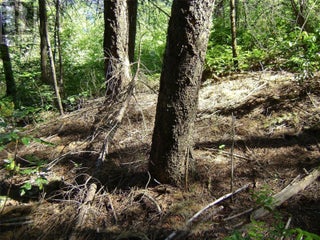 9475 Kilkenny Place Lot# 180. Vernon, British Columbia