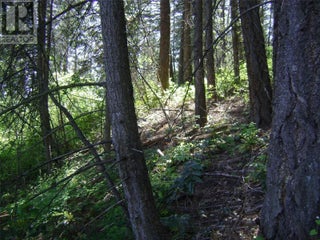 9475 Kilkenny Place Lot# 180. Vernon, British Columbia
