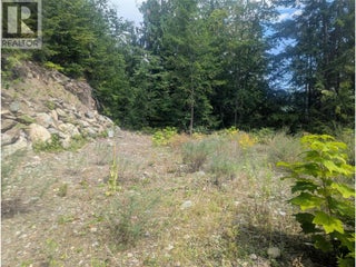 Lot 1 Whiskey Pointe. Revelstoke, British Columbia