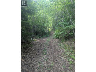 Lot 1 Whiskey Pointe. Revelstoke, British Columbia