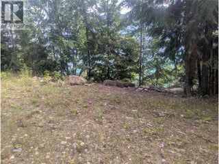 Lot 1 Whiskey Pointe. Revelstoke, British Columbia