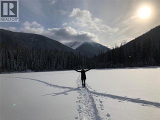 153 Thistle Road. Princeton, British Columbia