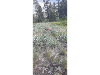 Lot 1 & 2 Gibson Road. Lumby, British Columbia