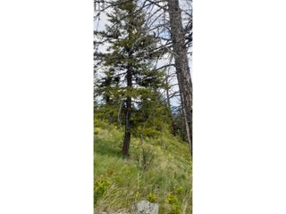 Lot 1 & 2 Gibson Road. Lumby, British Columbia