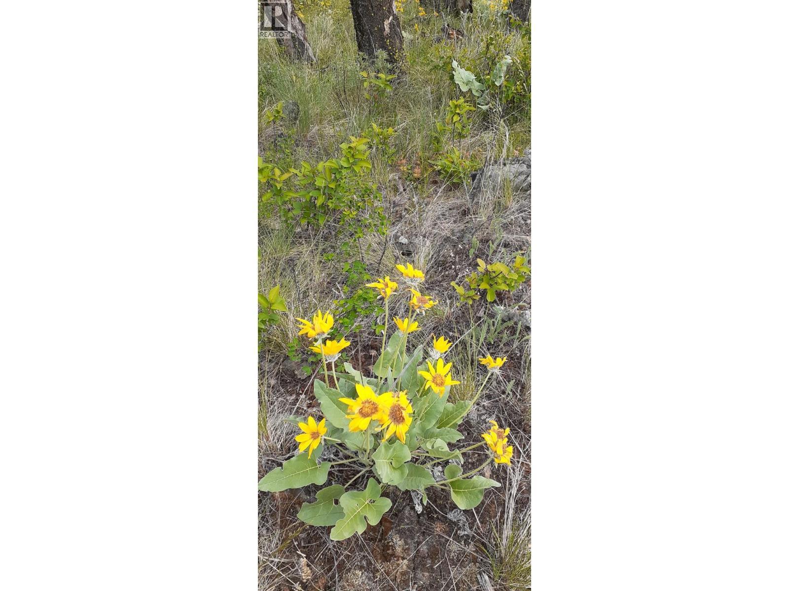 Lot 1 & 2 Gibson Road. Lumby, British Columbia