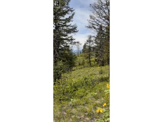 Lot 1 & 2 Gibson Road. Lumby, British Columbia