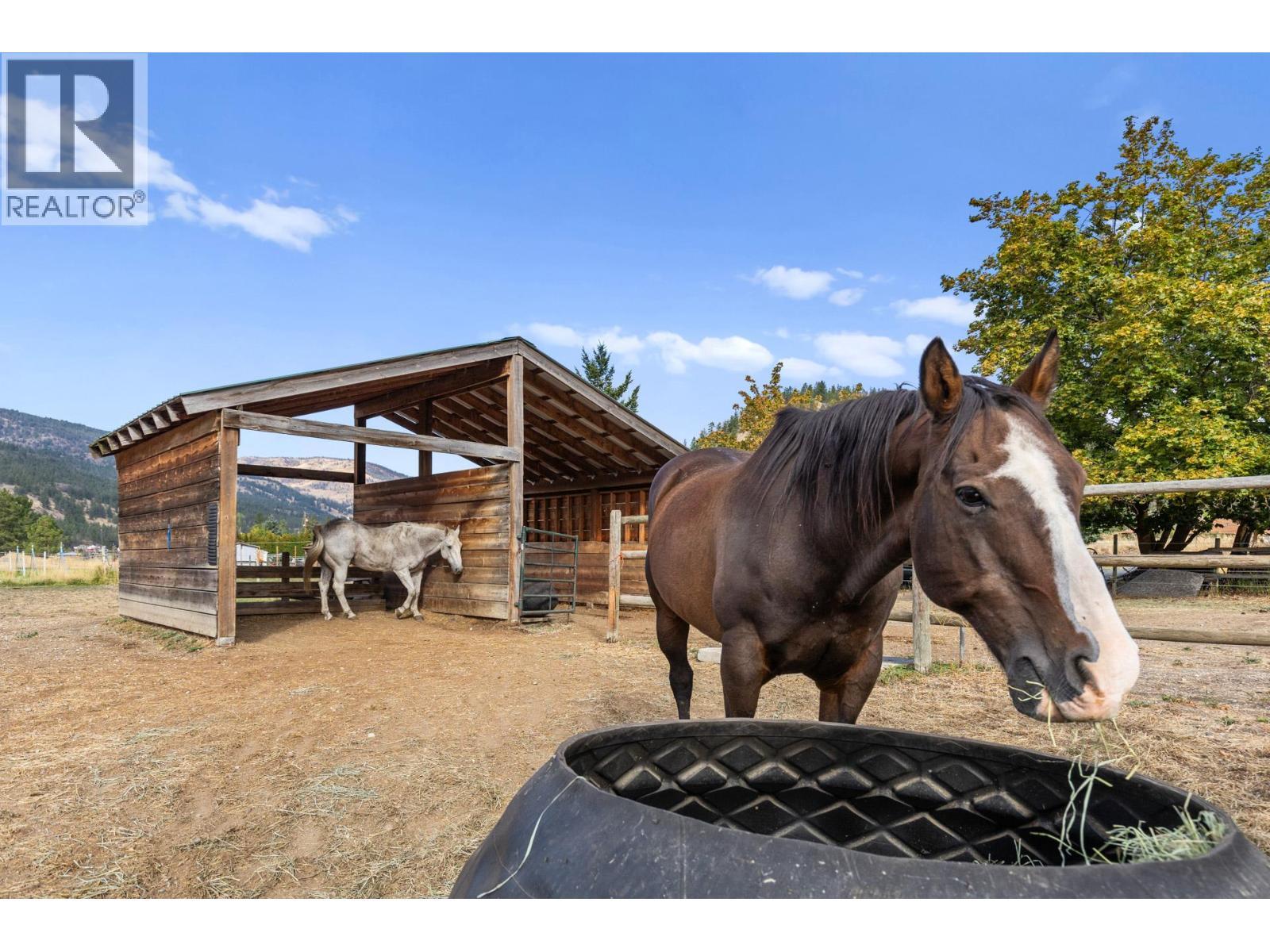 602 Johnson Crescent. Oliver, British Columbia