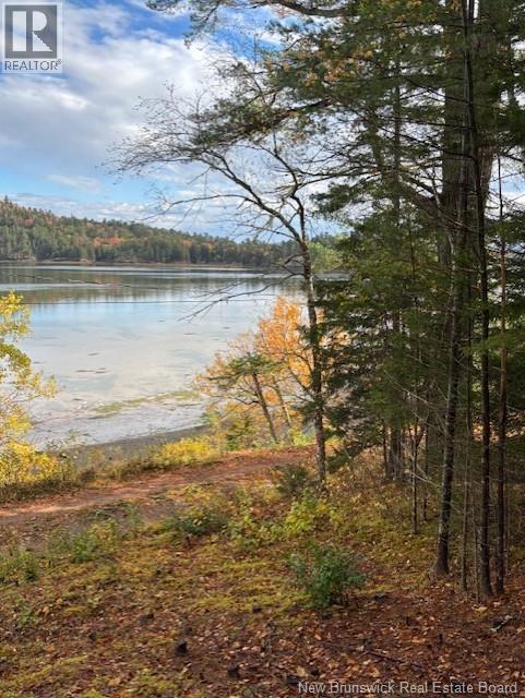 Photo of Listing #NB128669