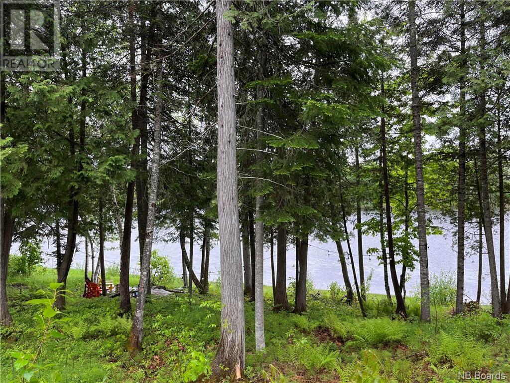 71 Storeytown Road, Doaktown Property Listing MLS® NB088050