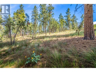 4729 Lakeshore Road. Kelowna, British Columbia