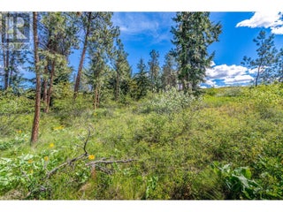 4729 Lakeshore Road. Kelowna, British Columbia