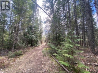 50 East Poirier Road. Mara, British Columbia