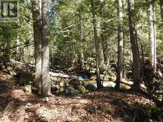 50 East Poirier Road. Mara, British Columbia