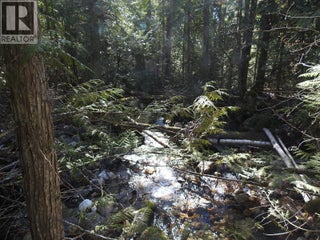 50 East Poirier Road. Mara, British Columbia