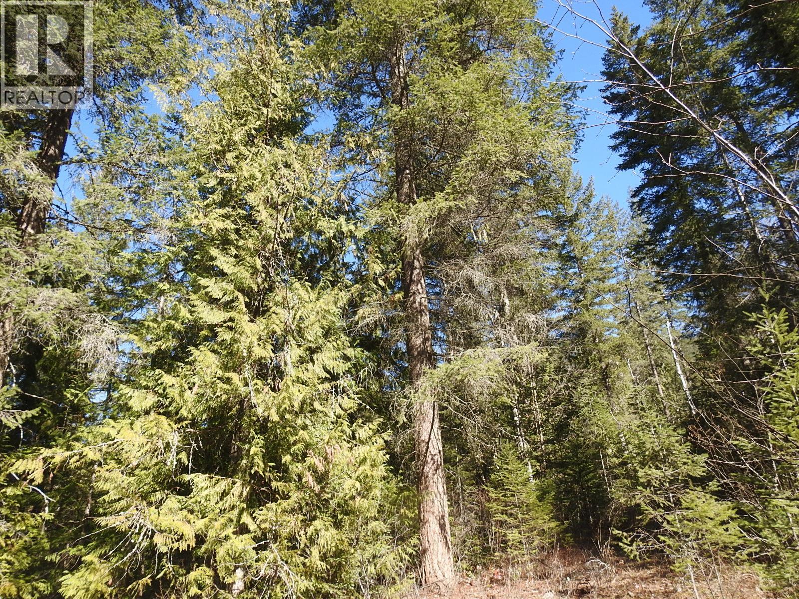 50 East Poirier Road. Mara, British Columbia