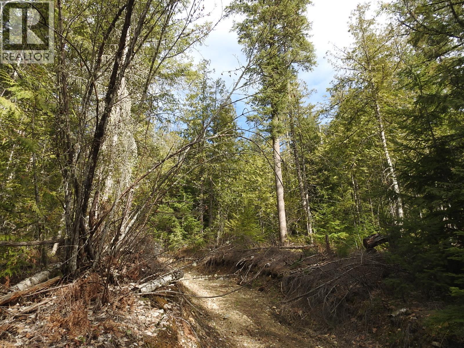 50 East Poirier Road. Mara, British Columbia